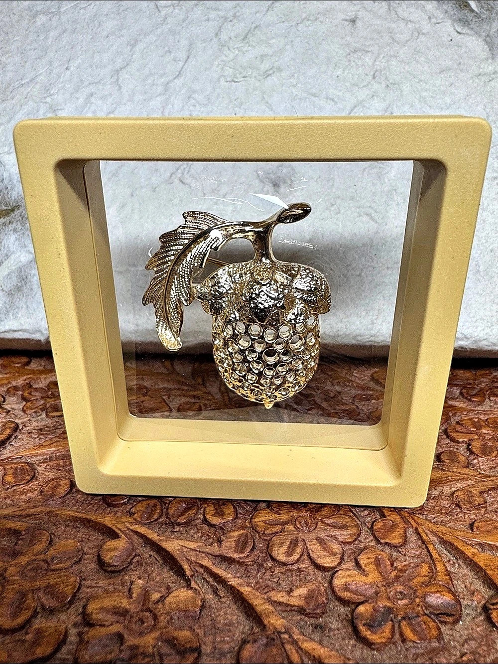 Sarah Coventry Golden Acorn Brooch in Floating Display frame